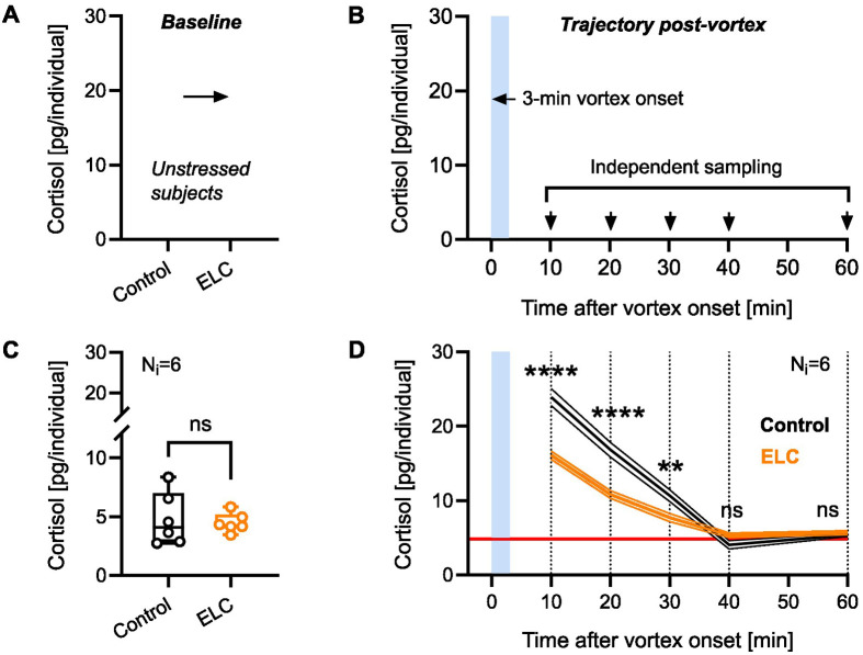 Early-life challenge enhances cortisol regulation in zebrafish larvae.