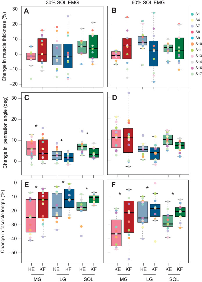 Effects of altered contractile environment on muscle shape change in the human triceps surae.