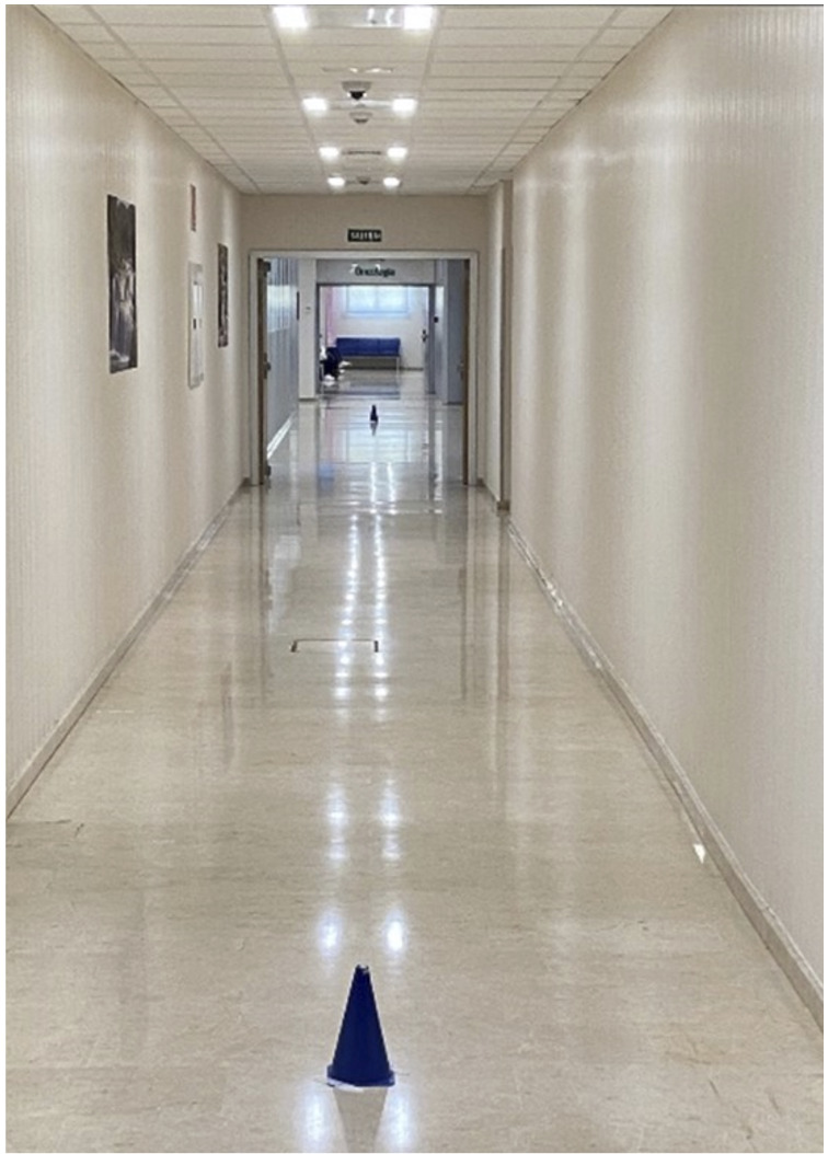 [Validity of the PEDOMETER® mobile application for evaluating cardiorespiratory fitness and fatigue resistance in cardiac rehabilitation. A pilot study].