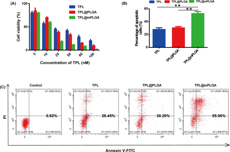 Homotypic cell membrane-camouflaged biomimetic PLGA nanoparticle loading triptolide for the treatment of hepatocellular carcinoma.