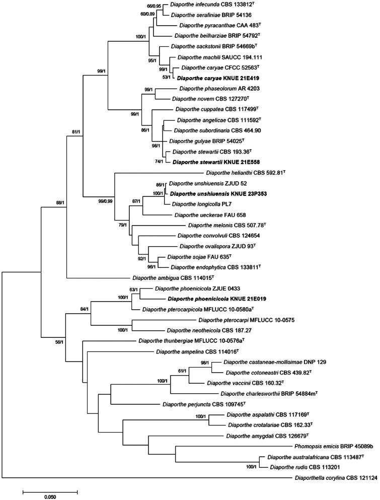 Four Unrecorded Species of Endophytic <i>Diaporthe</i> (Sordariomycetes) in Korea.