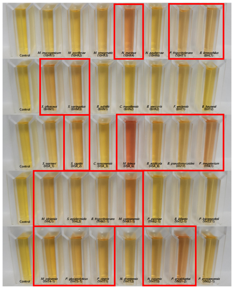 Characterization of Tomato Seed Endophytic Bacteria as Growth Promoters and Potential Biocontrol Agents.