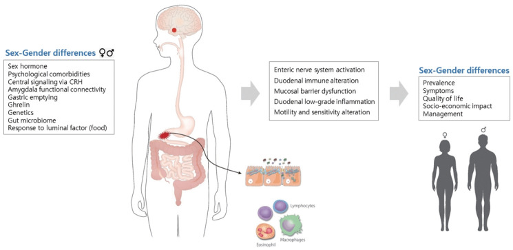 [The Relationship of Dysbiosis of Duodenal Microbiome and Functional Dyspepsia].
