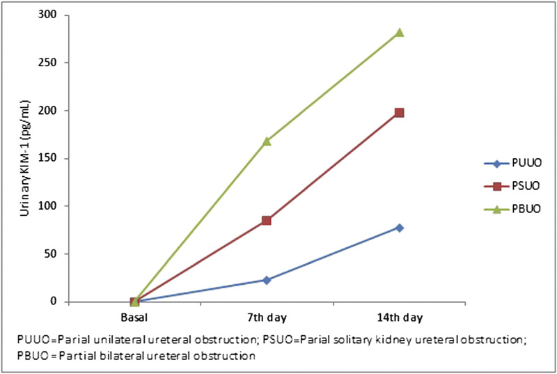 Is the urinary kidney injury molecule an optimum biomarker for early detection of obstructive nephropathy? An experimental study.