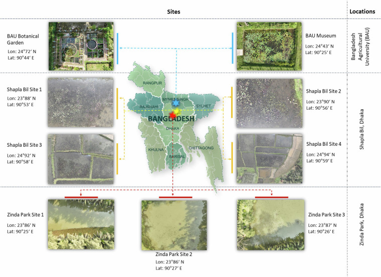 AqUavplant Dataset: A High-Resolution Aquatic Plant Classification and Segmentation Image Dataset Using UAV.