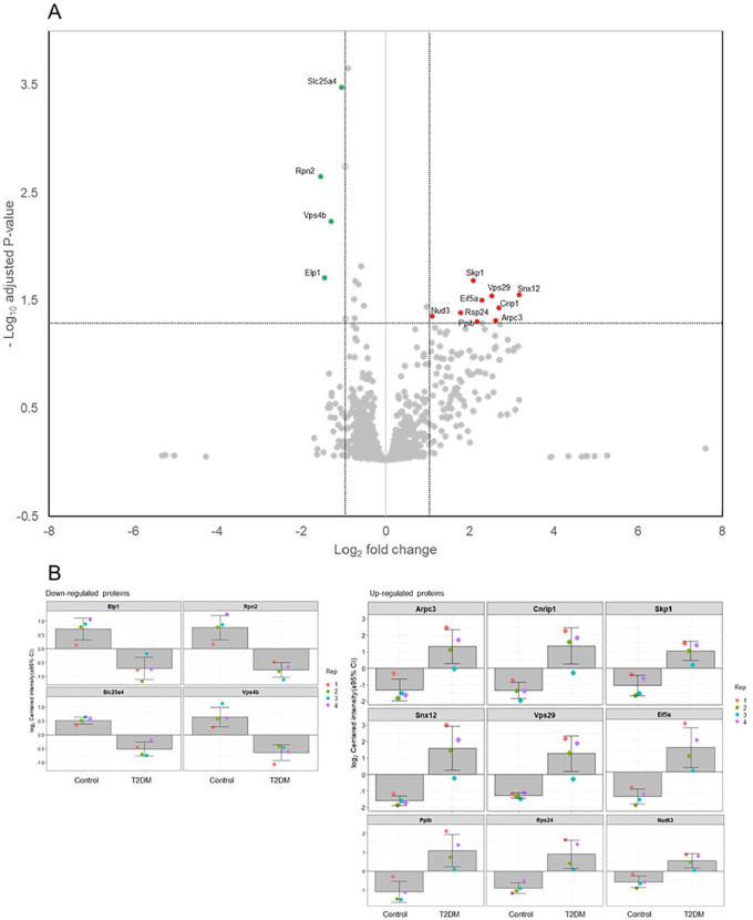 The Alteration of Proteomic Profiles in Hippocampus of Type 2 Diabetic Mice Associated With Cognitive Impairment.
