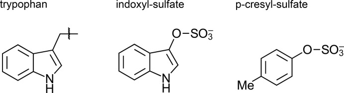 Sulfation pathways in the maintenance of functional beta-cell mass and implications for diabetes.