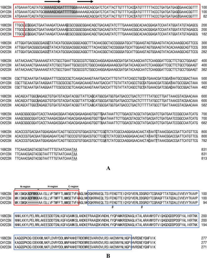 Comparative Secretory Efficiency of Two Chitosanase Signal Peptides from Bacillus subtilis in Escherichia coli.