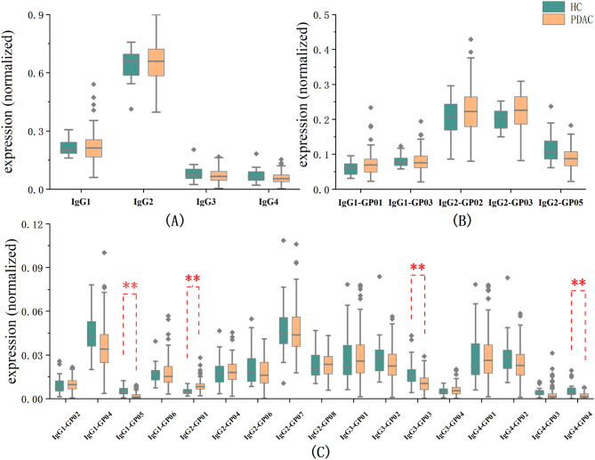 Quantitative site-specific N-glycosylation analysis reveals IgG glyco-signatures for pancreatic cancer diagnosis.