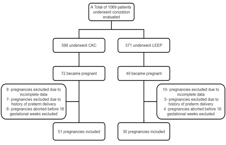 Factors affecting obstetric outcomes in patients who underwent cold-knife and loop electrosurgical excision procedure conization due to cervical intraepithelial neoplasia 2 or cervical intraepithelial neoplasia 3