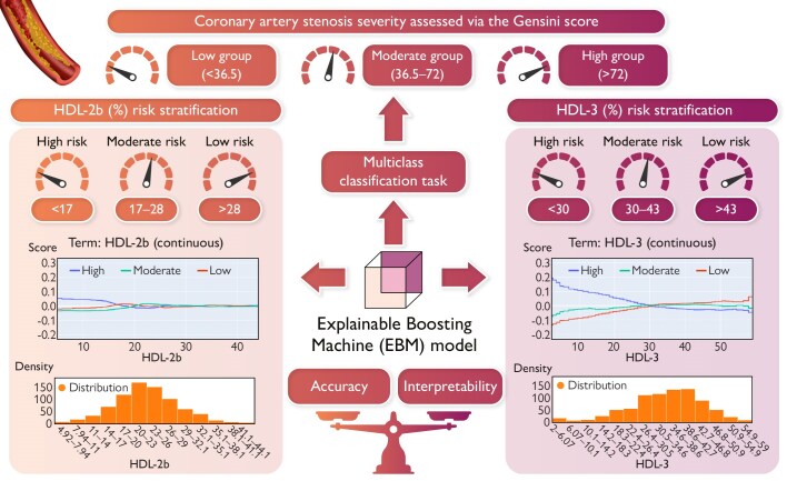 Interpretable predictive value of including HDL-2b and HDL-3 in an explainable boosting machine model for multiclass classification of coronary artery stenosis severity in acute myocardial infarction patients.