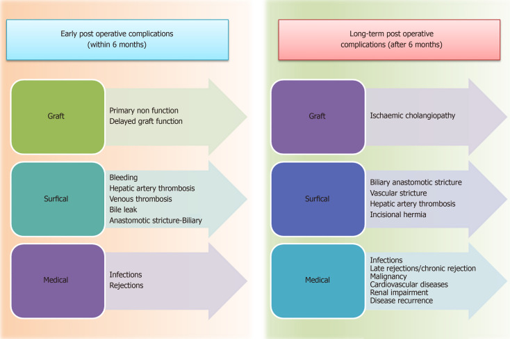 Thrombotic complications post liver transplantation: Etiology and management.