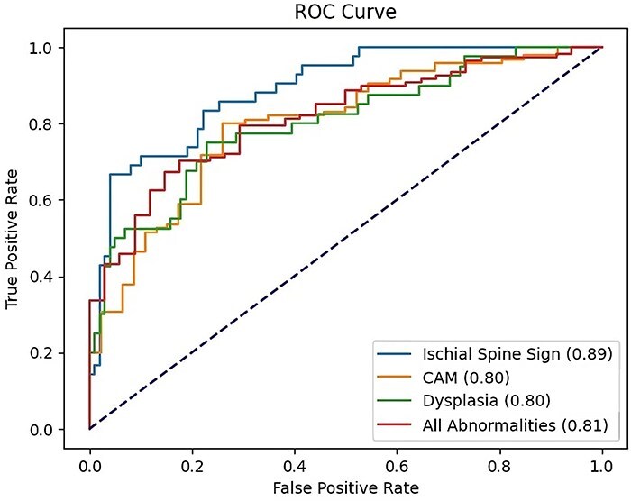 Characterizing hip joint morphology using a multitask deep learning model.