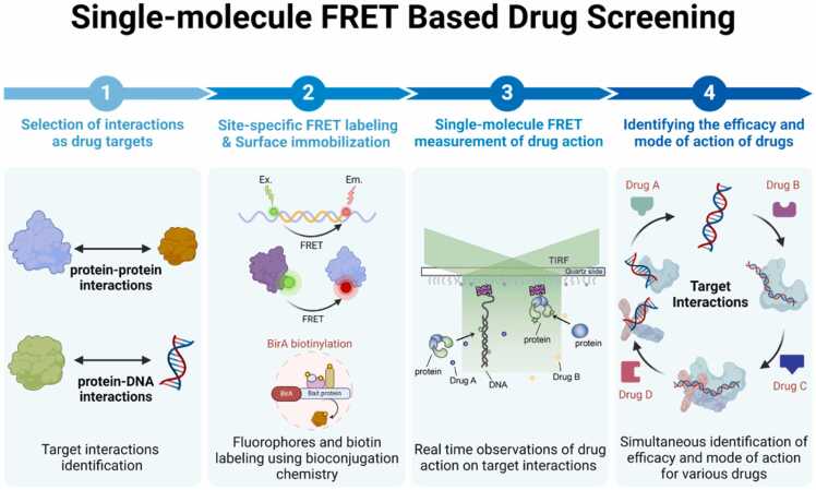 Single-molecule FRET–based approach for protein-targeted drug discovery