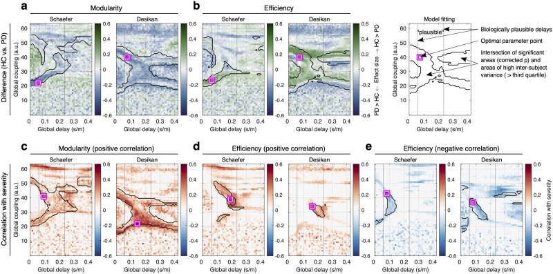 Simulated brain networks reflecting progression of Parkinson's disease.