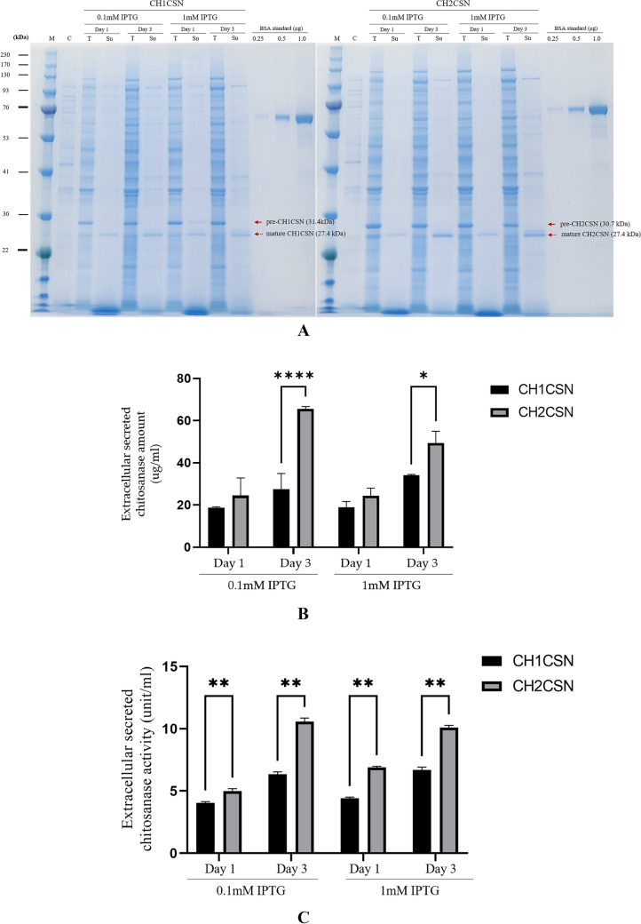Comparative Secretory Efficiency of Two Chitosanase Signal Peptides from Bacillus subtilis in Escherichia coli.