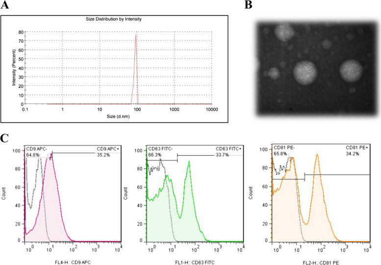 Bone marrow mesenchymal stem cell exosomes suppress JAK/STAT signaling pathway in acute myeloid leukemia in vitro.