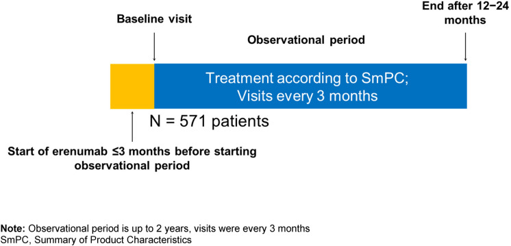 Real-World Experience of Erenumab in Patients with Migraine in Germany: The SPECTRE Study.