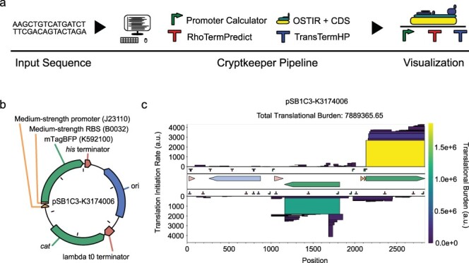 CryptKeeper: a negative design tool for reducing unintentional gene expression in bacteria.