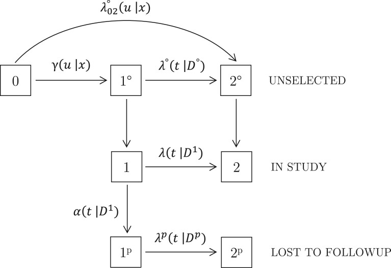 Selection processes, transportability, and failure time analysis in life history studies.