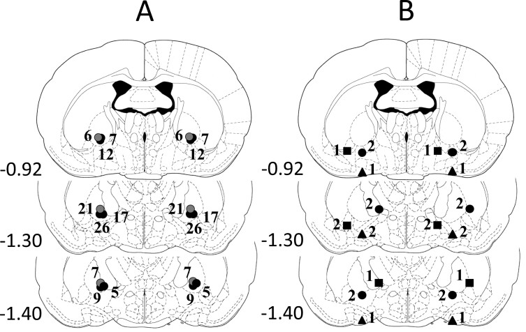 The role of pallidal substance P and neurokinin receptors in the consolidation of spatial memory of rats.