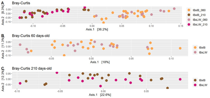 The impact of host genetics on porcine gut microbiota composition excluding maternal and postnatal environmental influences.