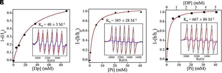 The ternary complex of Mn<sup>2+</sup>, synthetic decapeptide DP1 (DEHGTAVMLK), and orthophosphate is a superb antioxidant.