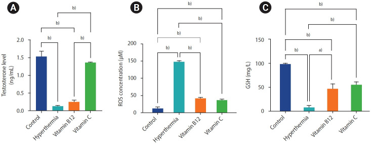 The effects of vitamin C and vitamin B12 on improving spermatogenesis in mice subjected to long-term scrotal heat stress.