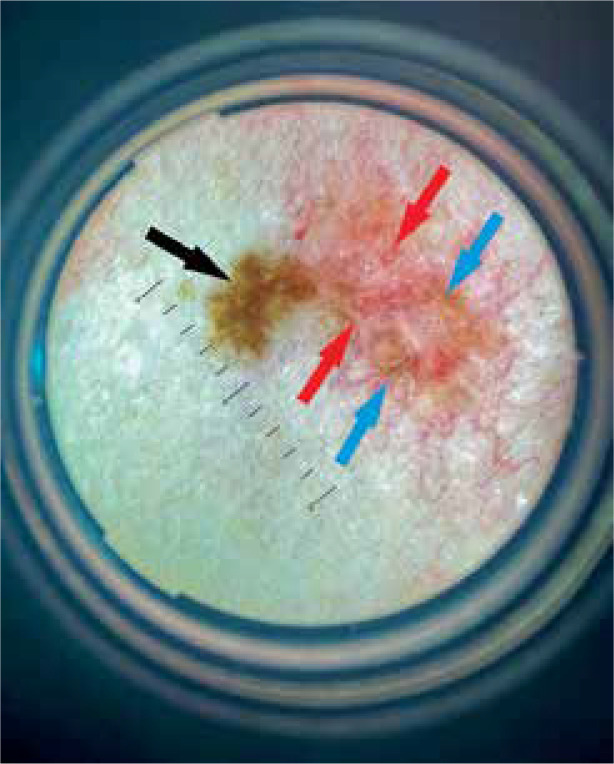 Abstract Image