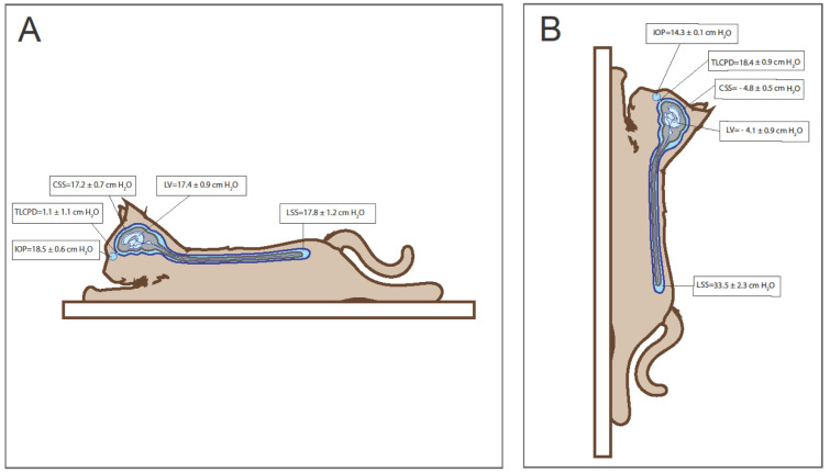 Control values of intraocular pressure in different species: a review of literature.