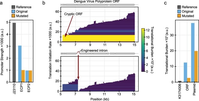 CryptKeeper: a negative design tool for reducing unintentional gene expression in bacteria.