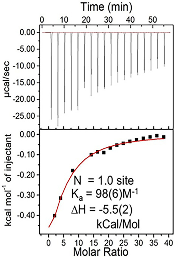 The ternary complex of Mn<sup>2+</sup>, synthetic decapeptide DP1 (DEHGTAVMLK), and orthophosphate is a superb antioxidant.