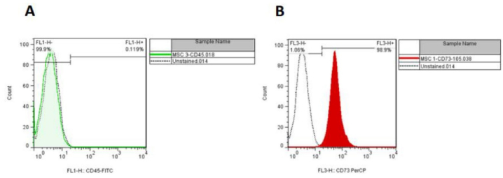 Secretome of human amniotic membrane stem cells promote recovery and testicular functions through modulating <i>SIRT1/NRF2/TNF-α</i> pathway in mice testicular torsion: An experimental study.