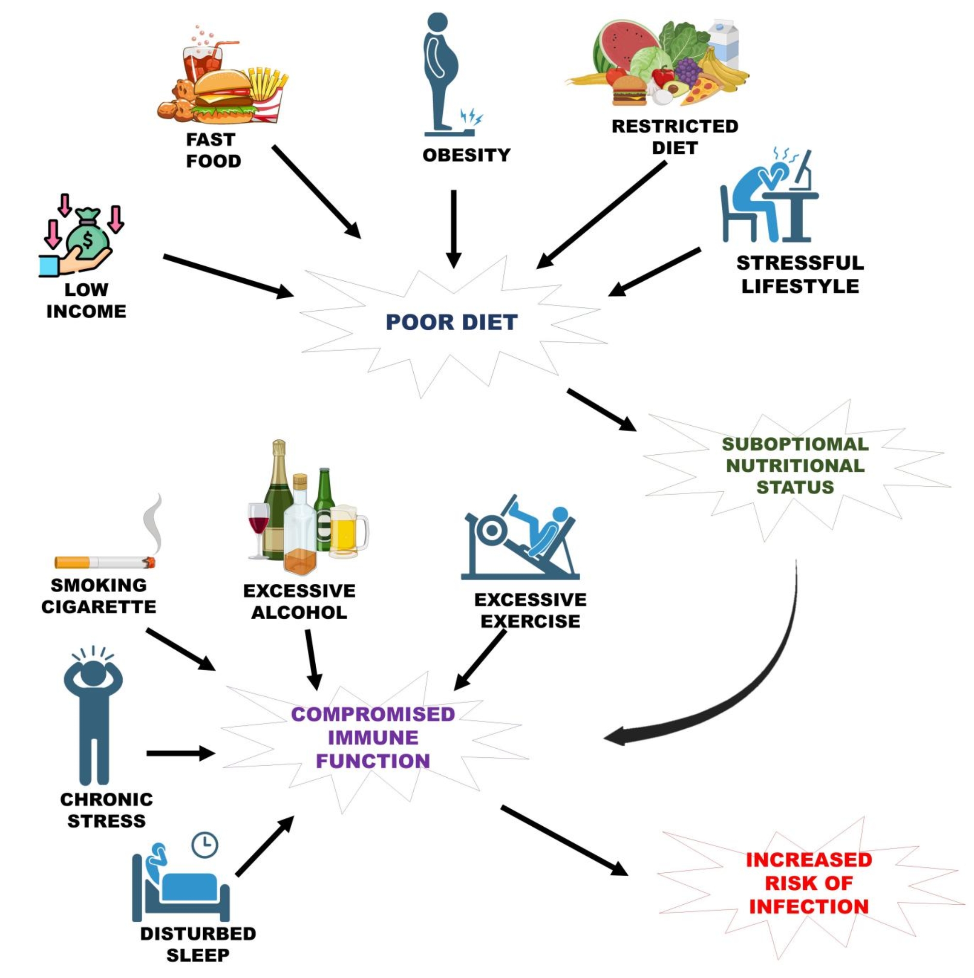 Micro nutrients as immunomodulators in the ageing population: a focus on inflammation and autoimmunity.
