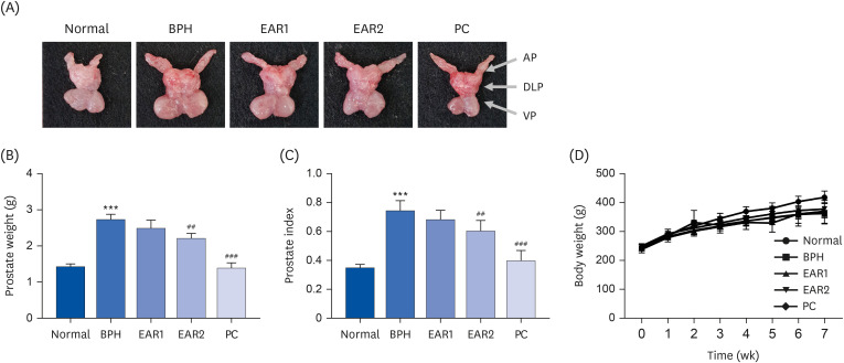 <i>Asparagi radix</i> alleviates testosterone-induced benign prostatic hyperplasia by inhibiting 5α-reductase activity and androgen receptor signaling pathway.