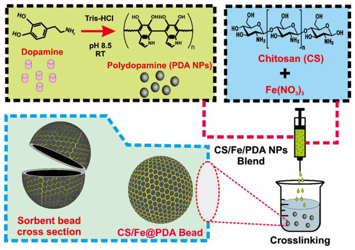 Bio-inspired chitosan/polydopamine-nanoparticle based sorbent bead: A versatile platform for separation and HPLC analysis of tetracycline antibiotics from various sample matrix.