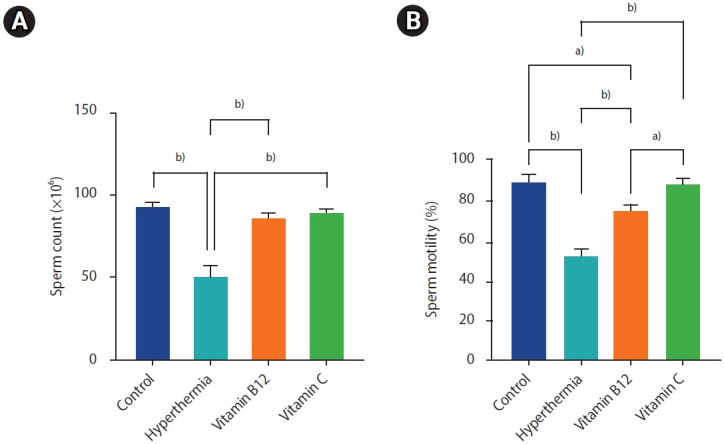 The effects of vitamin C and vitamin B12 on improving spermatogenesis in mice subjected to long-term scrotal heat stress.