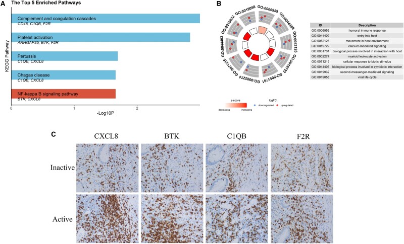 Uncovering novel therapeutic clues for hypercoagulable active ulcerative colitis: novel findings from old data.