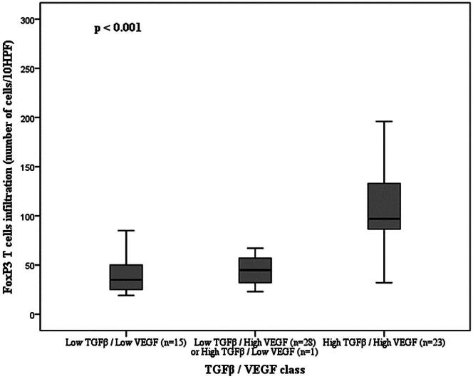 TGFβ in malignant canine mammary tumors: relation with angiogenesis, immunologic markers and prognostic role.