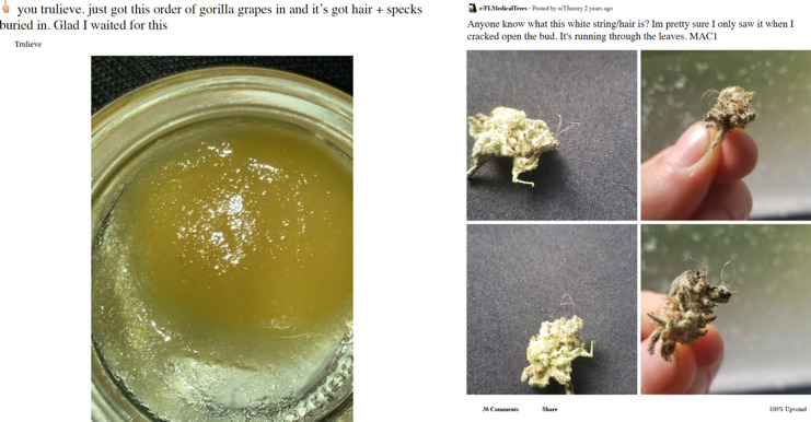 Patients' Perceptions of Cannabis Contamination in Florida's Medical Program.