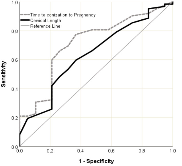Factors affecting obstetric outcomes in patients who underwent cold-knife and loop electrosurgical excision procedure conization due to cervical intraepithelial neoplasia 2 or cervical intraepithelial neoplasia 3