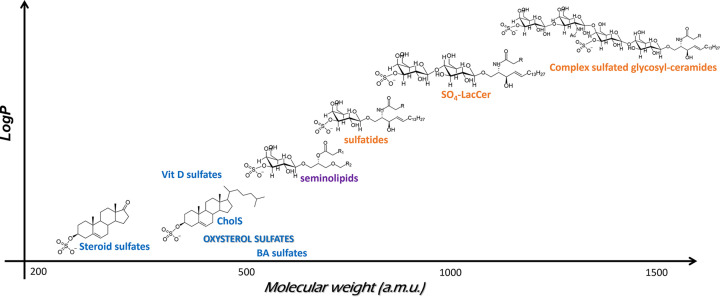 Oxysterol sulfates in fluids, cells and tissues: how much do we know about their clinical significance, biological relevance and biophysical implications?