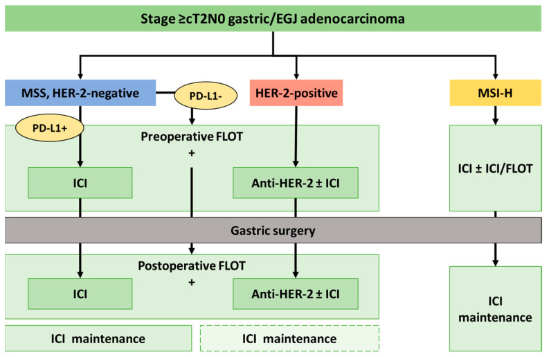 Perioperative Treatment in Gastric Cancer: A Fast-Changing Field.