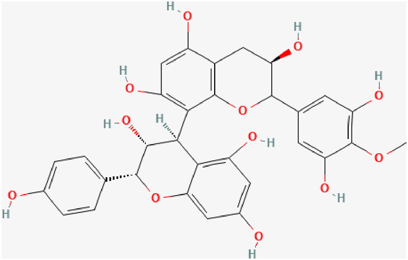 Proanthocyanidin offers protection against diabetic nephropathy: elucidation of its mechanism of action using animal models.