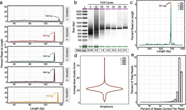 Inert splint-driven oligonucleotide assembly.