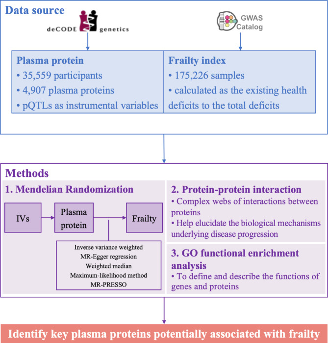 Exploring the associations of plasma proteins with frailty based on Mendelian randomization.