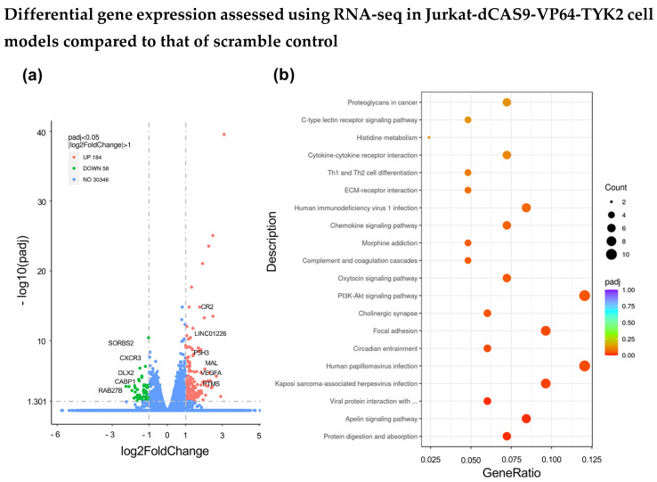 Characterising a Novel Therapeutic Target for Psoriasis, TYK2, Using Functional Genomics.