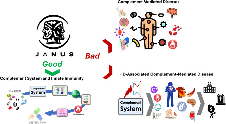 The Janus-faced nature of complement in hemodialysis: interplay between complement, inflammation, and bioincompatibility unveiling a self-amplifying loop contributing to organ damage.