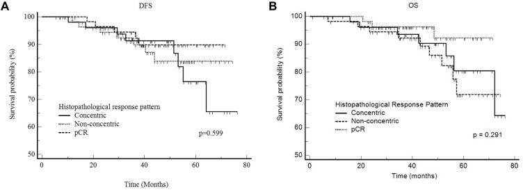 Correlation of Histopathological and Radiological Response Patterns and Their Prognostic Implications in Breast Cancer After Neoadjuvant Chemotherapy.