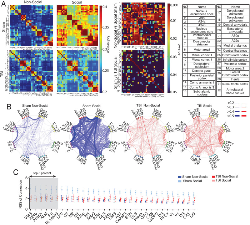 Gamma frequency connectivity in frontostriatal networks associated with social preference is reduced with traumatic brain injury.